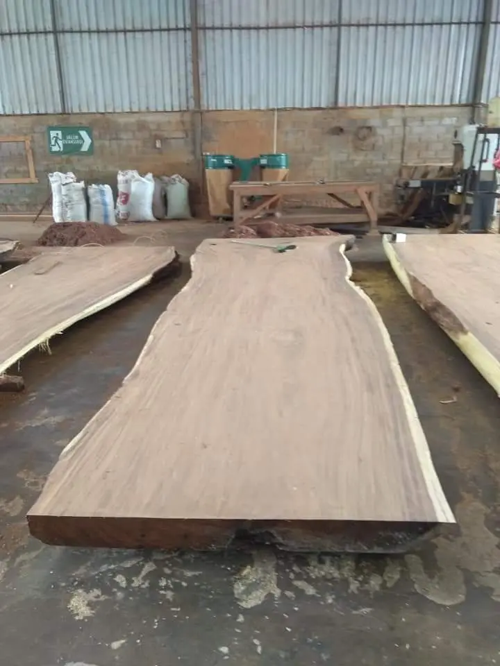 Meja Makan Kayu Trembesi Utuh 6 Meter – Solid Slab Suar Wood Natural Meja Meeting / Dining Table Premium