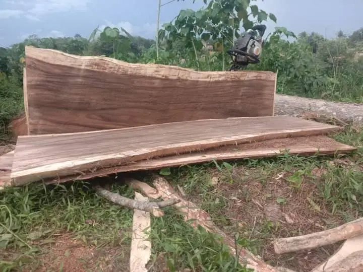 Top Meja Makan -  Meja Kafe Trembesi-  Meja Kayu Alami,- Meja Dining Table Panjang