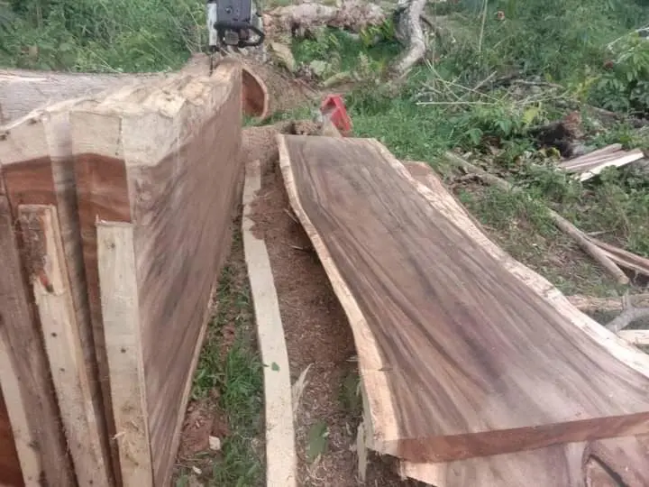 Top Meja Makan -  Meja Kafe Trembesi-  Meja Kayu Alami,- Meja Dining Table Panjang